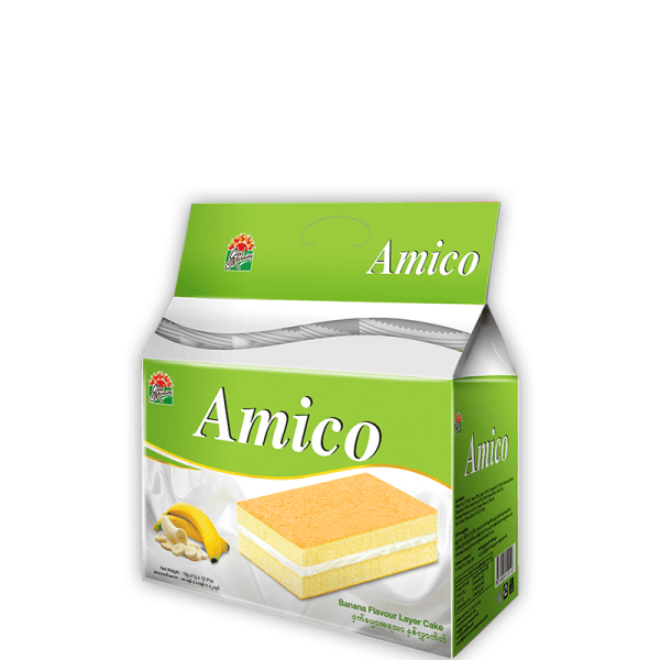 Amico Layer 12s