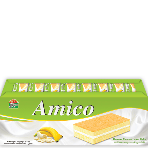 Amico layer 24pcs